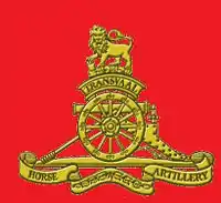 SANDF Transvaal Horse Artillery emblem