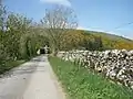 Road west of village with stone wall