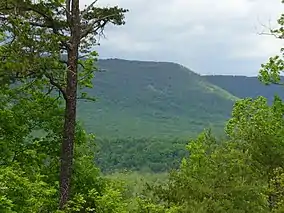 The view from Cullers Overlook in the park