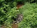 Steep Hill Brook Crossing Blackwells Mills Road