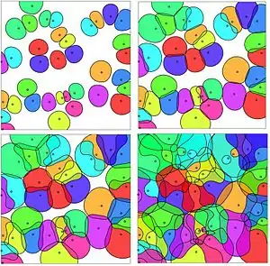 SINR cells