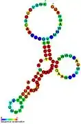 SAM-III riboswitch (SMK):  Secondary structure for the riboswitch marked up by sequence conservation.