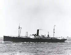 SS Medina in New York on her maiden voyage, passed in front of the Statue of Liberty in 1914.