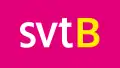 SVT Barnkanalen's third logo used from 25 August 2008 to 10 June 2012.