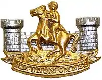 SWATF Cap badge Regiment Namutoni