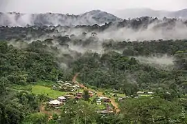 Aerial view of Saül