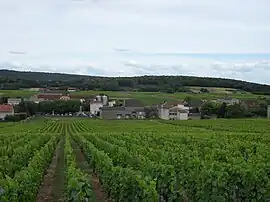 A general view of Saint-Gengoux-de-Scissé