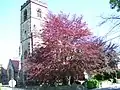 Saint John the Evangelist Church (Anglican) on Washington Street