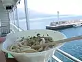 Udon of Yabukin and Mt. Sakurajima