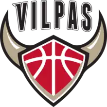 Vilpas Vikings logo