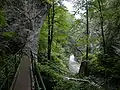 Pathway to the lower gorge