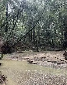 Clear Creek in the Redwoods