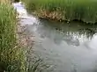 San Solomon Spring-fed ciénega, near Balmorhea, is in arid West Texas. The springs have a tremendous flow of 22 to 28 million gallons a day. (2009)