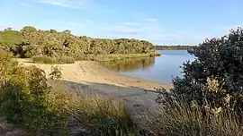 Sandy Beach, Molloy Island, in 2015