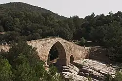 Medieval bridge of Pedret