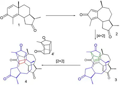 Santonin Photochemical reaction.