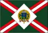 Flag of São José do Barreiro