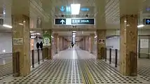 Passageway between Namboku Line and Toho Line platforms