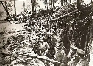 1914, Russian Caucasus Army at Sarikamish