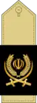 Brigadier General