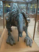 Front view of Scelidotherium leptocephalum skeleton