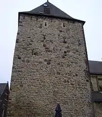 Schelmentower