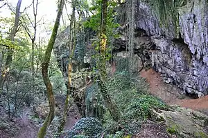 A rocky woodland view, showing the narrow, dark cave entrance