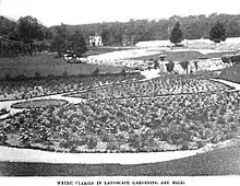 Flower gardens surrounded by paths