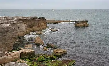 Sea Stacks (geograph 4190468).jpg