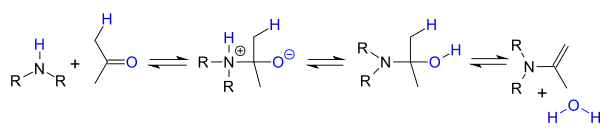 enamine formation by reaction of amine with carbonyl