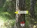 Mount Tavagnone, signage at the Dos de le Mee crossroads (a toponym derived from the dialect name given to hay sheaves: "Mee," it is mentioned in a 1511 parchment) of the trail at Bocca alla Croce, Tavagnone and Pavarì