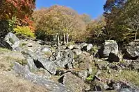 Garden (stone garden, prefectural scenic beauty, viewed from Ishiwa Kaikan, taken November 7, 2017)