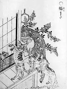 Nekomata (猫股)