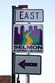 The current Lee Roy Selmon Expressway shield.