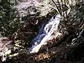 Otaki waterfall of Mitani ravine (2/2009)