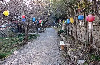 Seonamsa Mume Trees along tiled-roofed fence