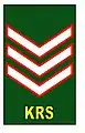 Sergeant