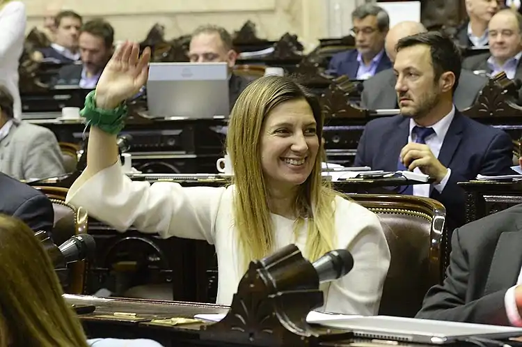 Sesión 13-06-2018 Diputada Lospennato 19.jpg