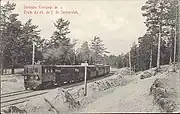 Train of the Seaside Sestroretsk railway. In operation at this station at this time