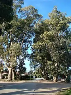 Typical street in Shangrilá