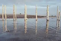 Remnants of a dilapidated dock, Sharafkhaneh port