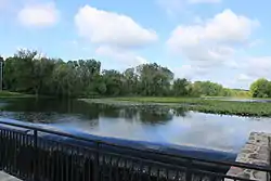 River Raisin flowing through the township