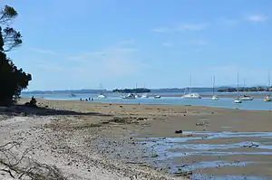 Shelly Park Beach - View towards Waiheke Island