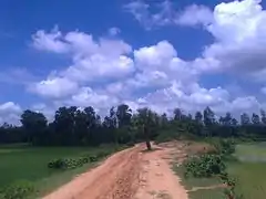 Village road in Autumn Season in Sherpur