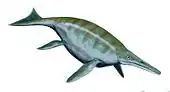 Ichthyosaur