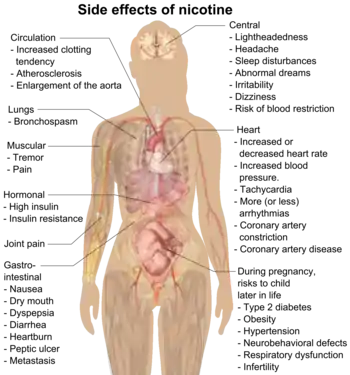 Possible side effects of nicotine include increased clotting tendency, atherosclerosis, enlargement of the aorta, bronchospasm, muscular tremor and pain, gastrointestinal nausea, dry mouth, dyspepsia, diarrhea, heartburn, peptic ulcer, cancer, lightheadedness, headache, sleep disturbances, abnormal dreams, irritability, dizziness, blood restriction, increased or decreased heart rate, increased blood pressure, tachycardia, more (or less) arrhythmias, coronary artery constriction, coronary artery disease, high insulin, insulin resistance, and risks to the child later in life during pregnancy include type 2 diabetes, obesity, hypertension, neurobehavioral defects, respiratory dysfunction, and infertility.