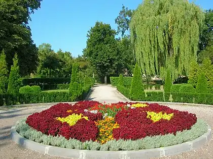 Flowers in summer