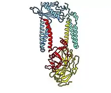 SPC structure as ribbon view