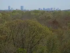 View of Downtown Boston skyline