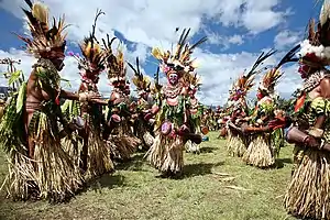 Wabag, Enga Province, Papua New Guinea. Performers at a Sing-sing. The kundus have rings around the skin head, like those made by the Asmat.